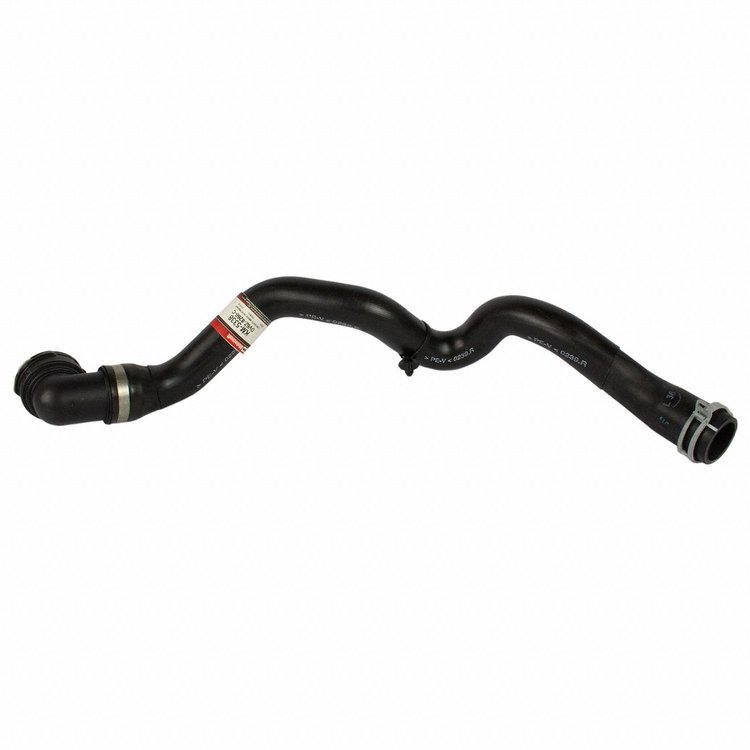 HOSE - RADIATOR (P)