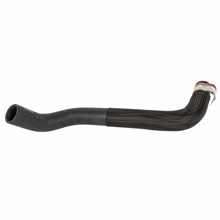 HOSE - RADIATOR (P)
