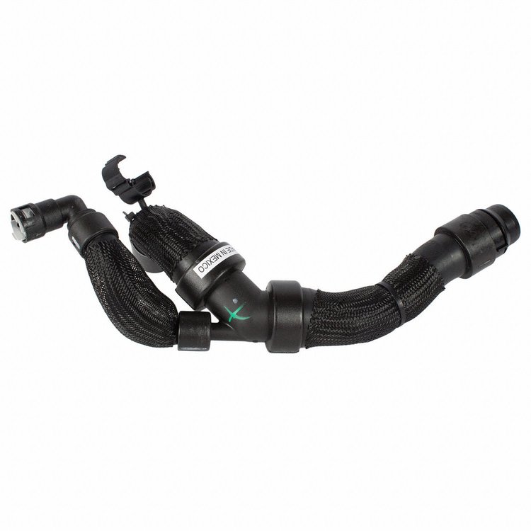 HOSE - RADIATOR (P)