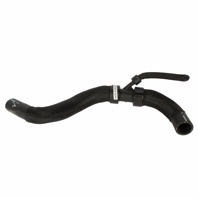 HOSE - RADIATOR (P)