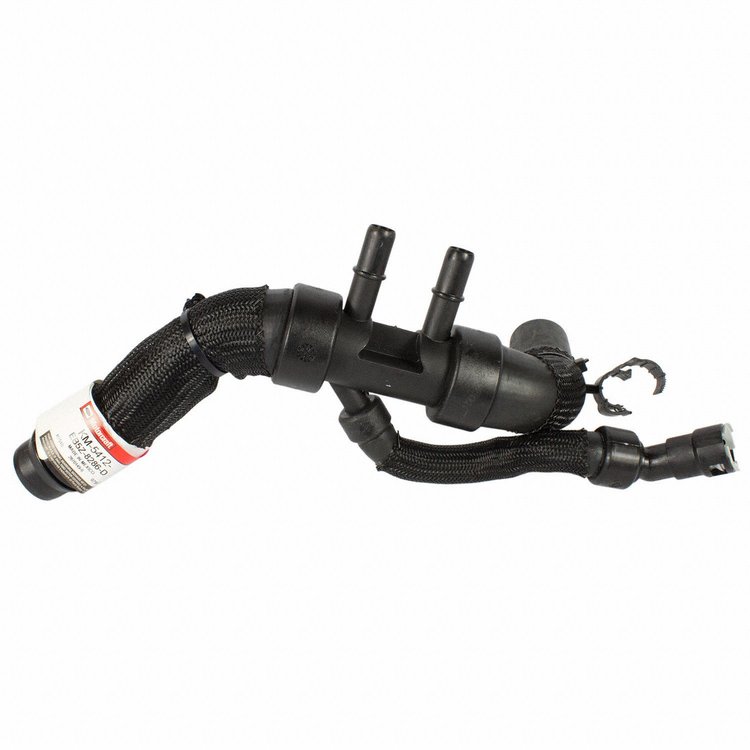 HOSE - RADIATOR (P)