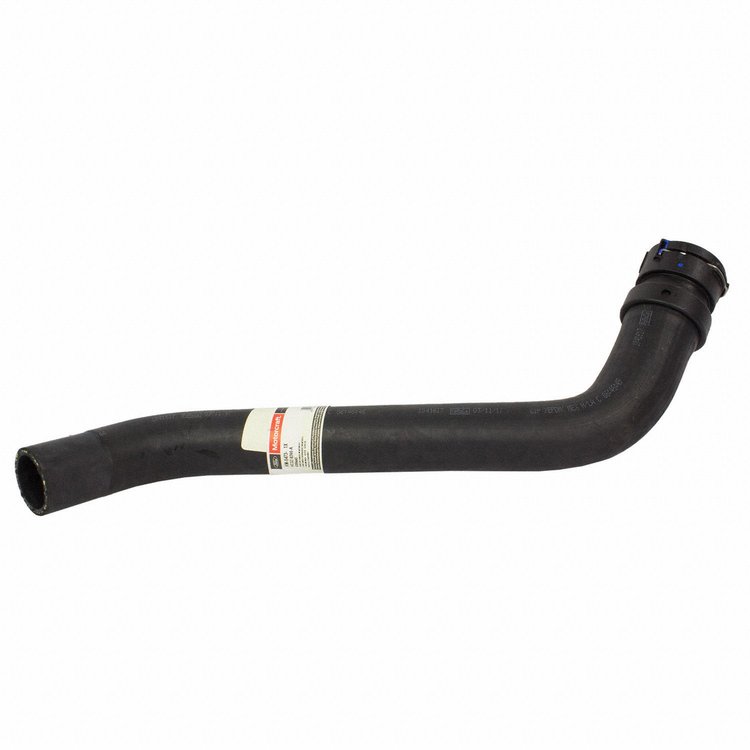 HOSE - RADIATOR (P)