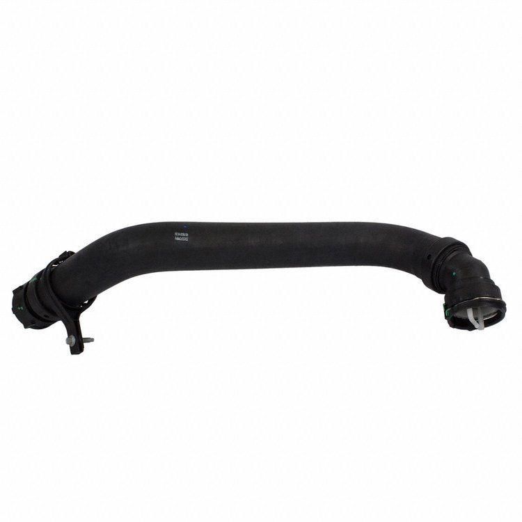 HOSE - RADIATOR (P)