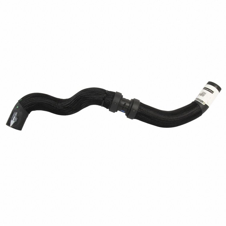 HOSE - RADIATOR (P)