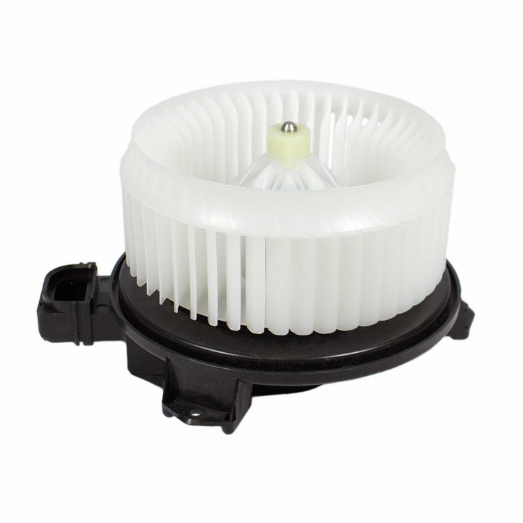 FAN AND MOTOR ASY