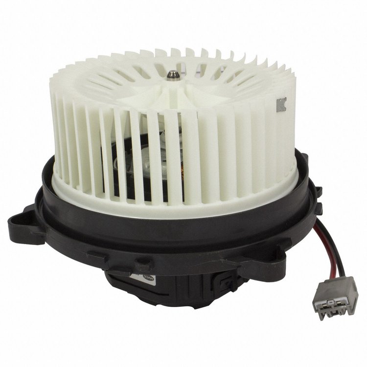 BLOWER ASY (P)