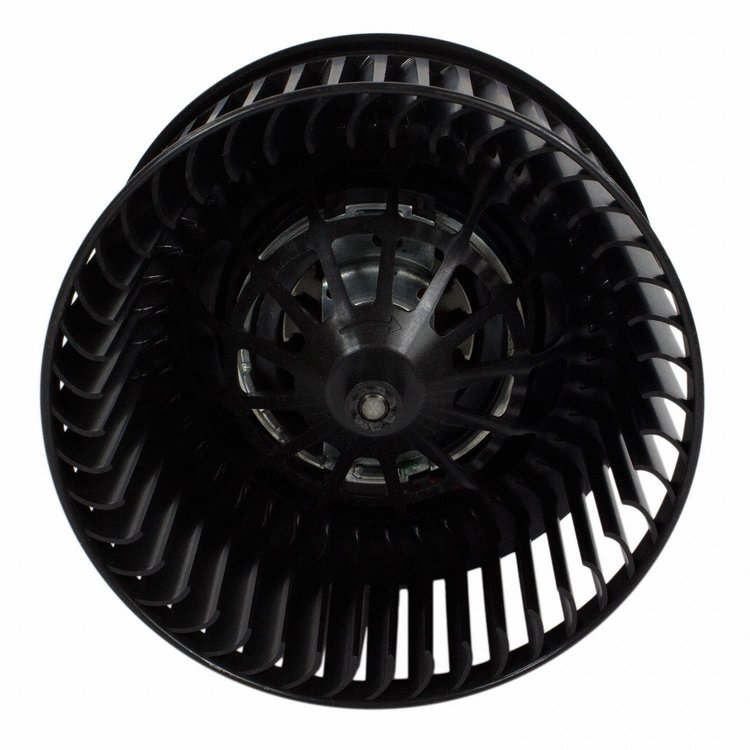 BLOWER ASY (P)