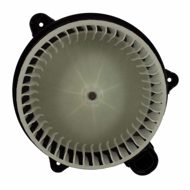 FANANDMOTORASY (P)