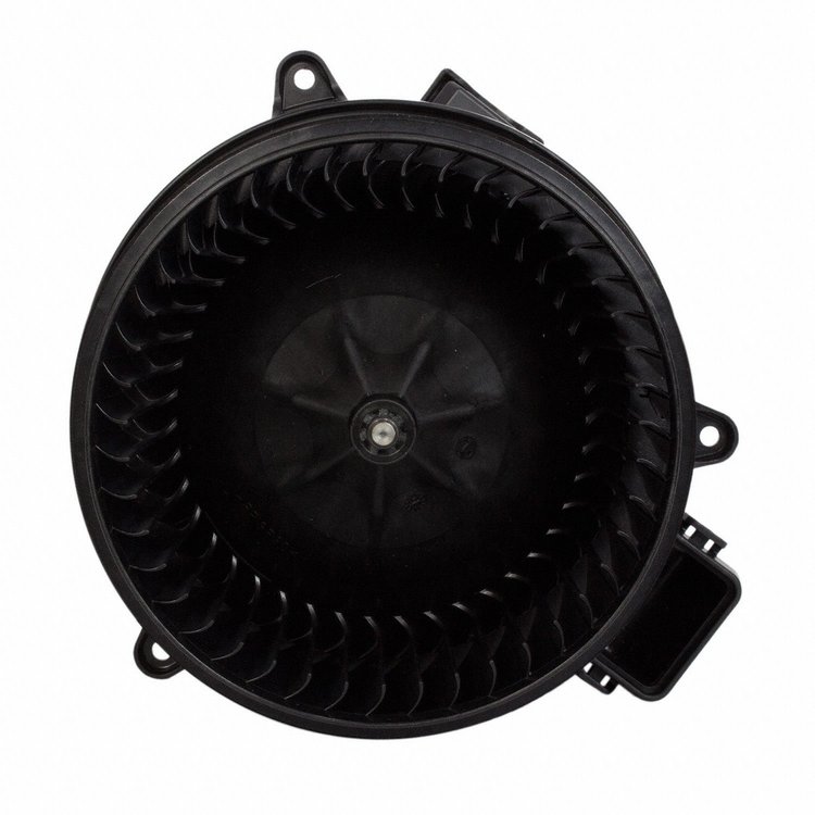 FANANDMOTORASY (P)