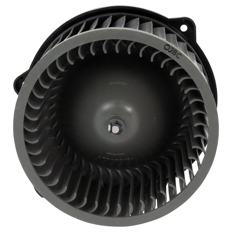 FANANDMOTORASY (P)