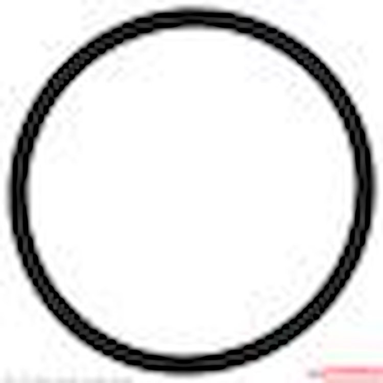 THERMOSTAT SEAL