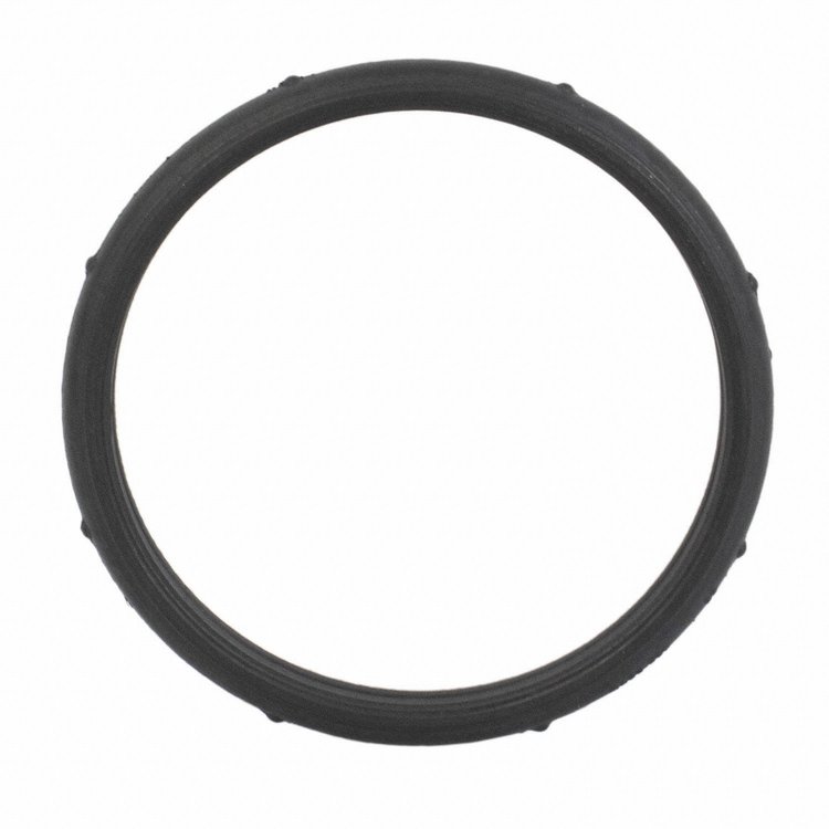 SEAL - THERMOSTAT (P)