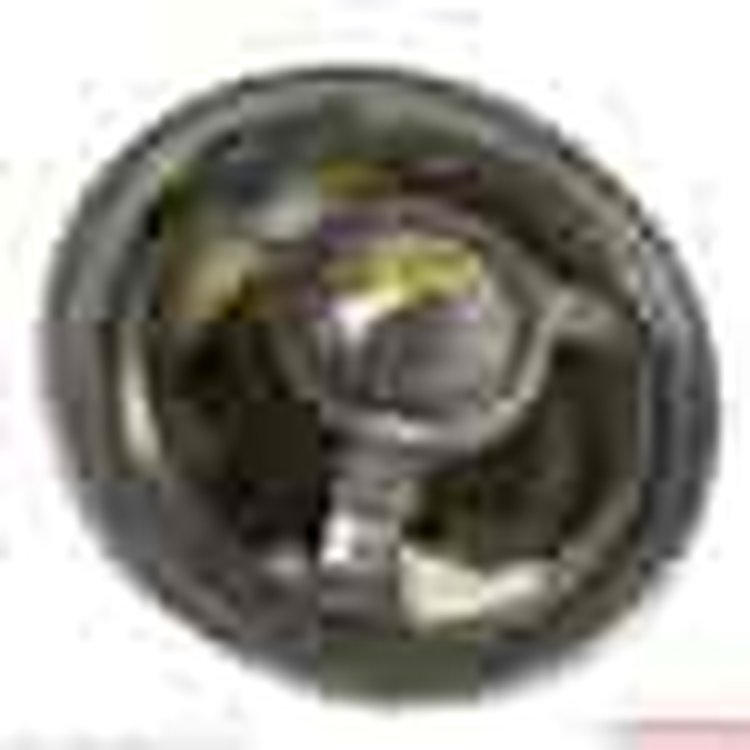 THERMOSTAT ASY