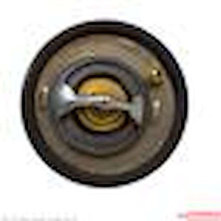THERMOSTAT ASSEMBLY