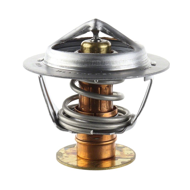 THERMOSTAT ASY (P)