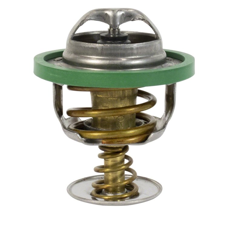 THERMOSTAT ASY (P)