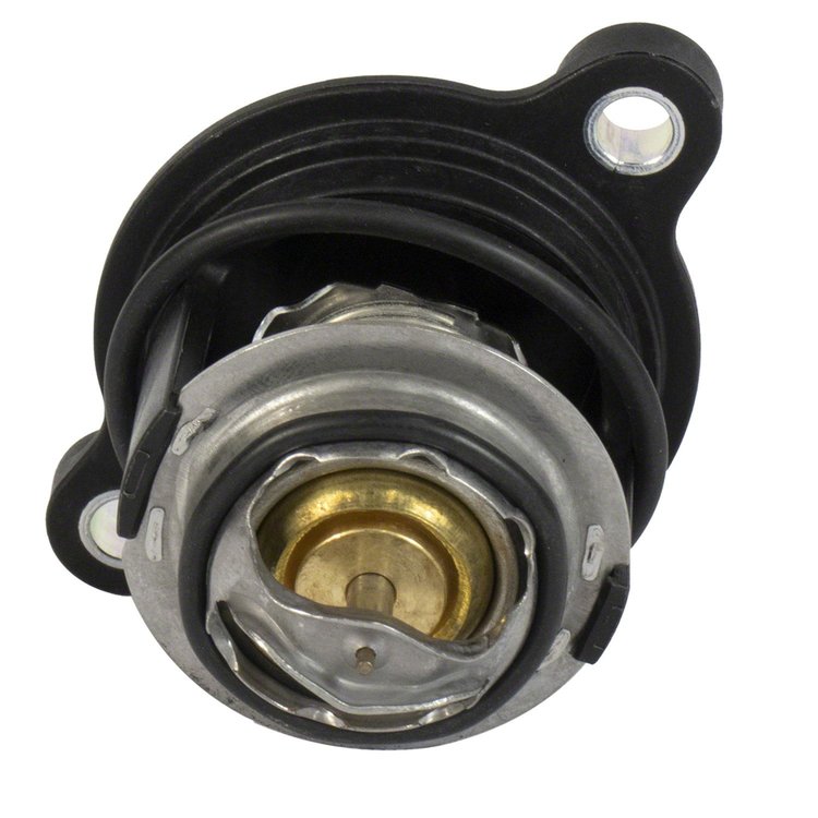 THERMOSTAT ASY (P)
