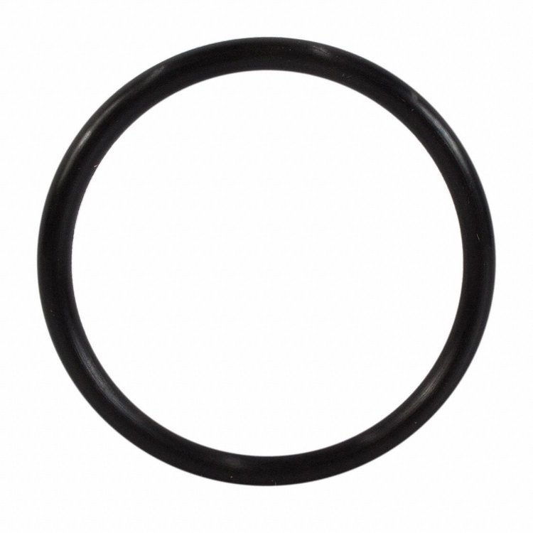 SEAL (P)