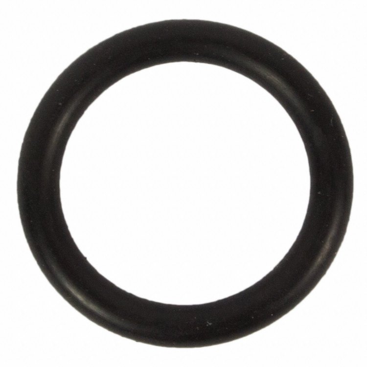 SEAL (P)