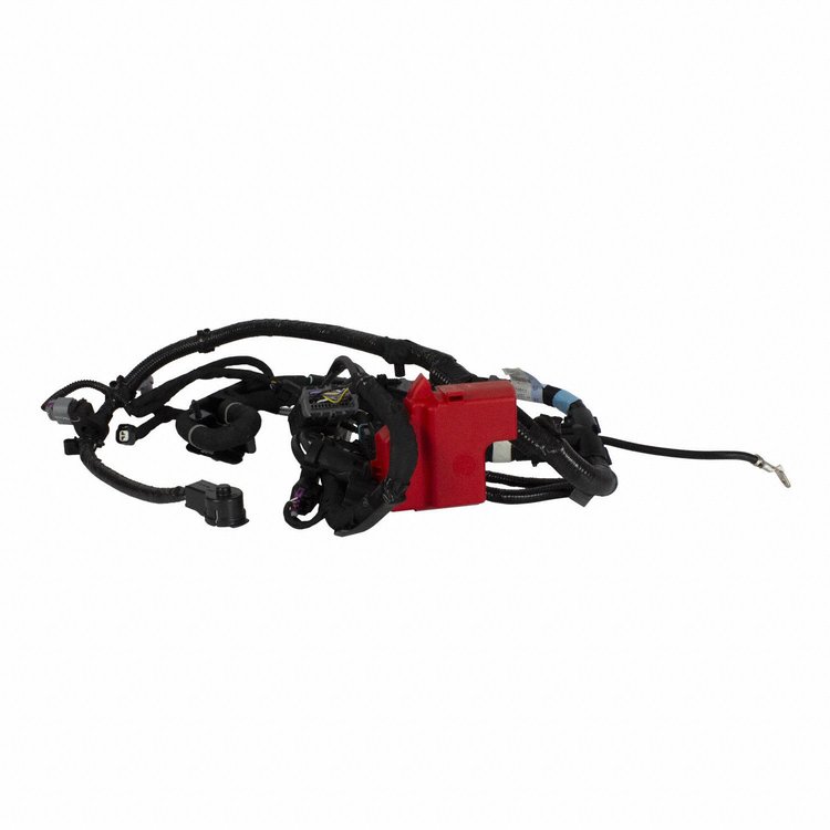CABLE ASY - BATTERY (P)