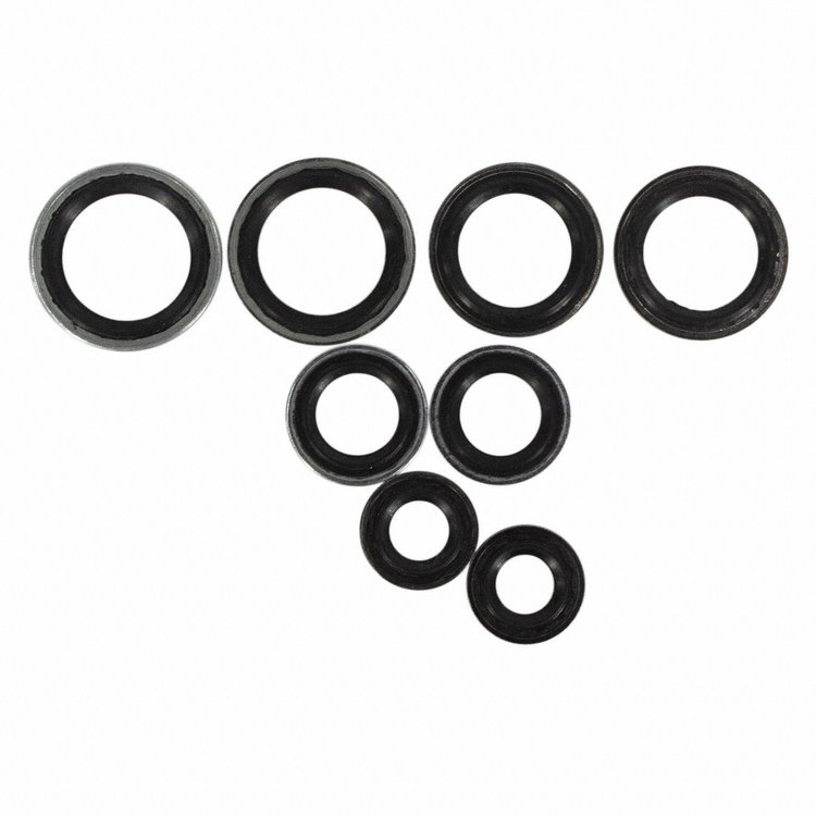 KIT (P)