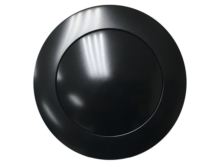 HORN BUTTON