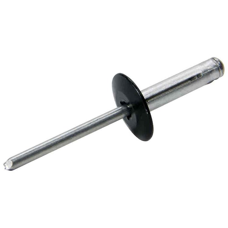 LARGE HEAD BLACK 250 RIVE