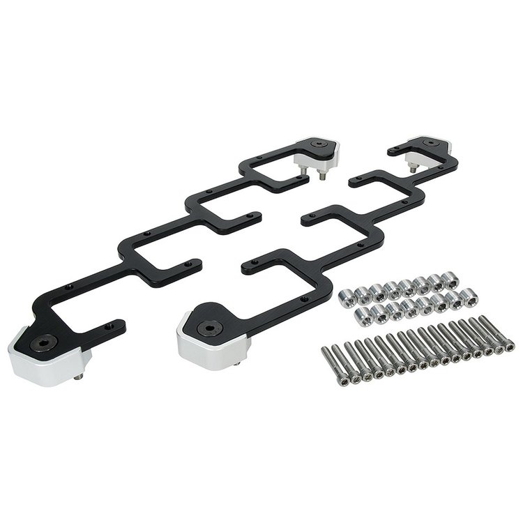 ALL26216 LS Coil Brackets Alum Remote Mount D580