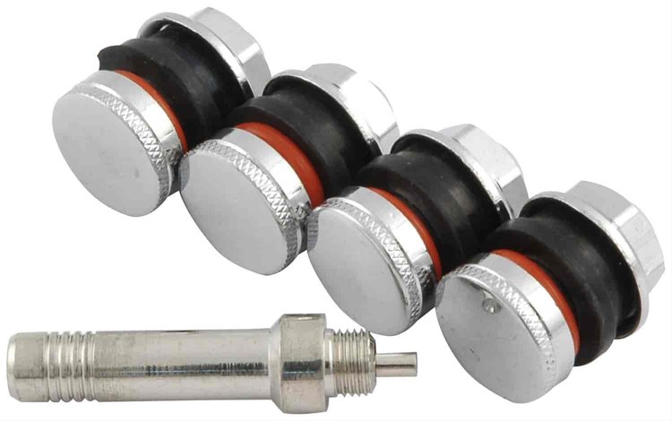 Flush Mount Valve Stems Includes Extension Filler Tube and Dust Caps