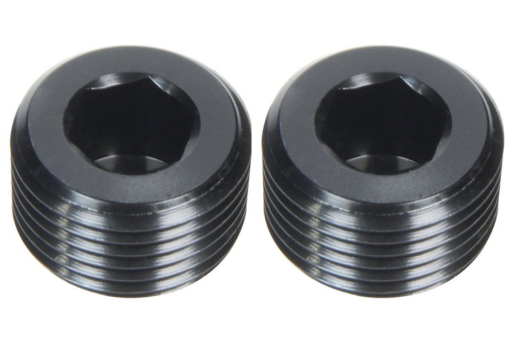ALL49802 Allen Plugs NPT 1/4 in. 2 Pack