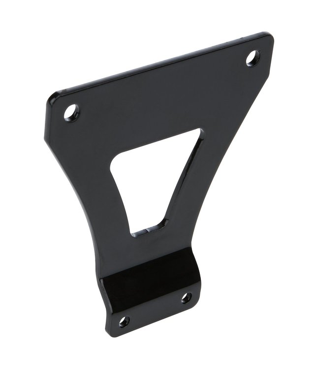 ALL54298 Aeromotive Regulator Bracket for Dirt LM