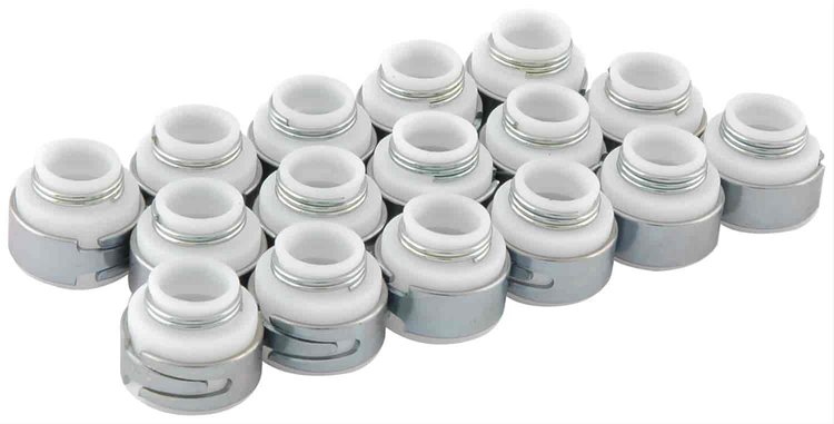 PTFE Valve Seals 11/32"