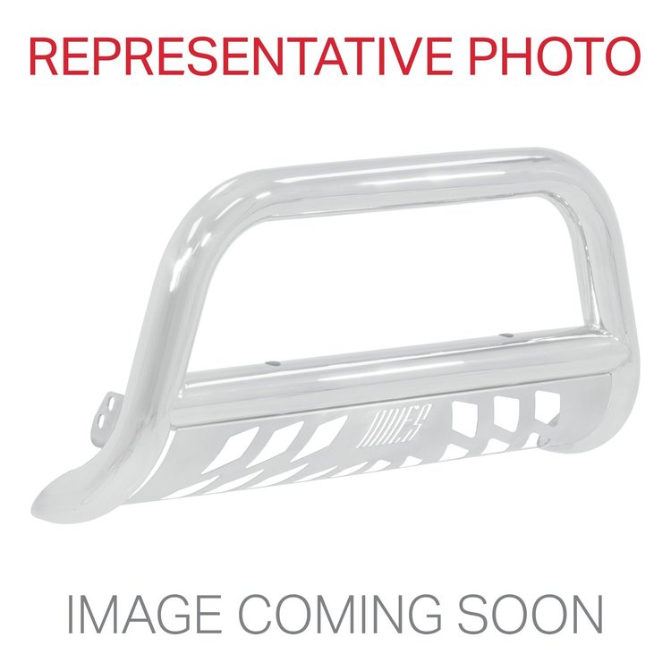 3" BULL BAR
