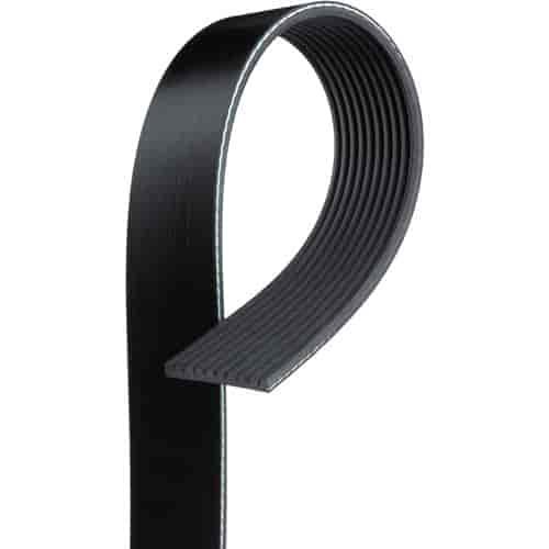 V-Ribbed Serpen (PARITY)