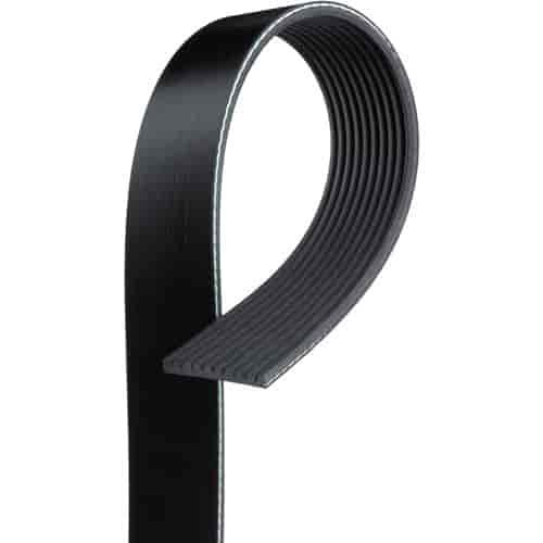 V-Ribbed Serpen (PARITY)