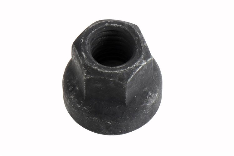 NUT (SLP)