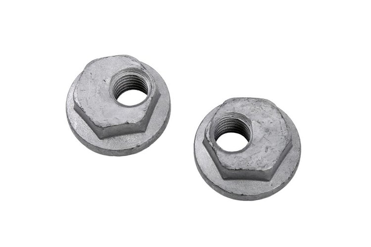 NUT (SLP-1)