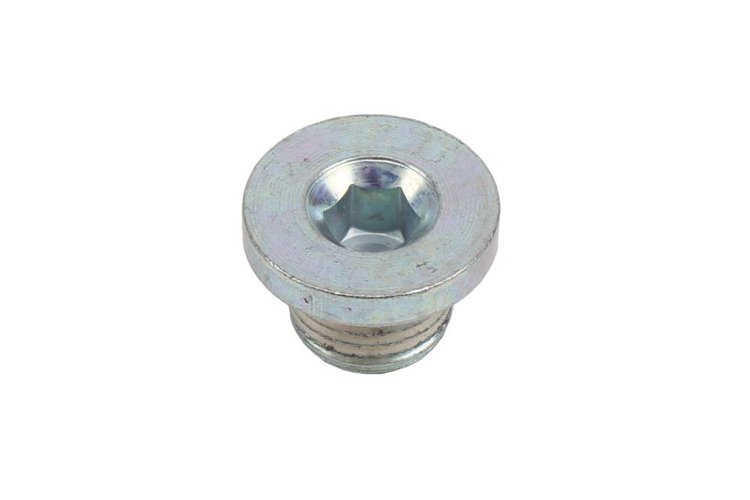 PLUG ASM (SLP-1)