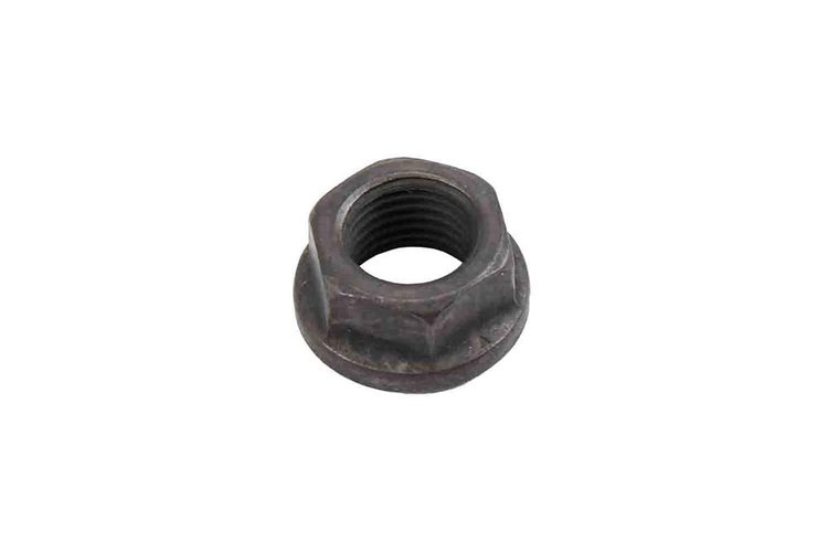 NUT (SLP-1)