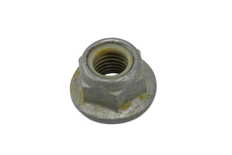 NUT (SLP-1)