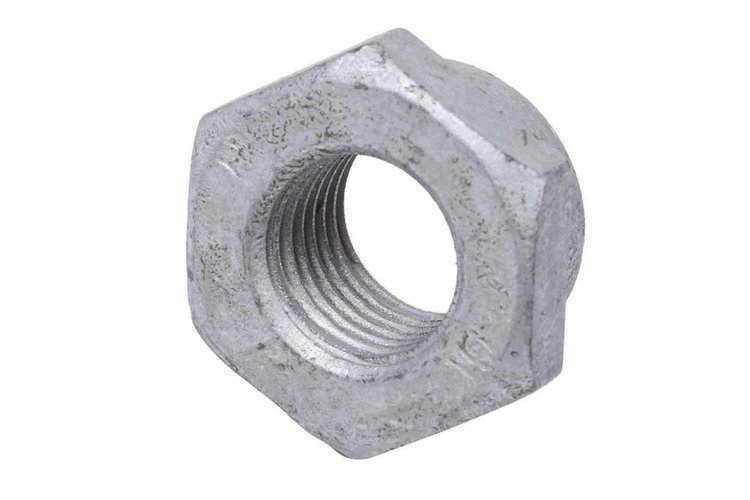 NUT (SLP-1)