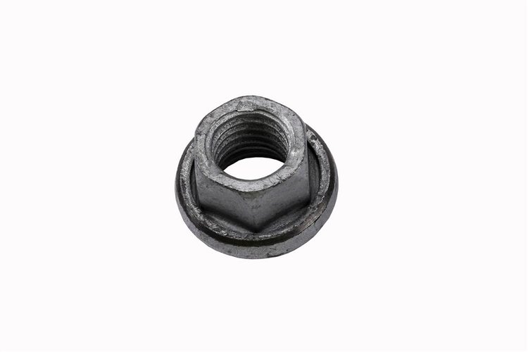 NUT (SLP-1)