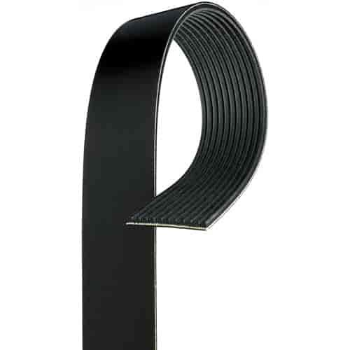 V-Ribbed Serpen (B)