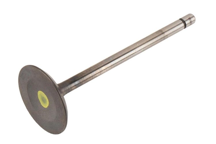 VALVEINT (SLP-1)