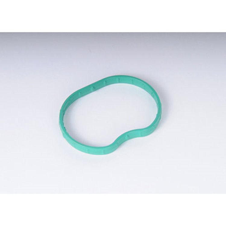 GASKET-INT MANIF