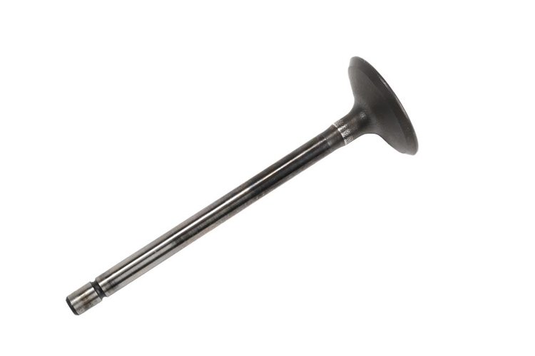 VALVEEXH (SLP-1)