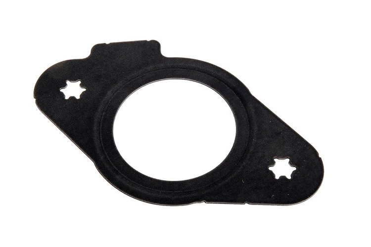 GASKET-F/PMP BR (SLP-1)