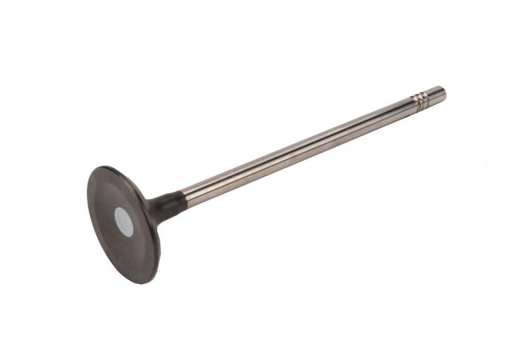 VALVE-INT (SLP-1)