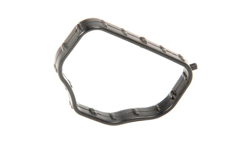 Intake Air Heat (SLP-1)