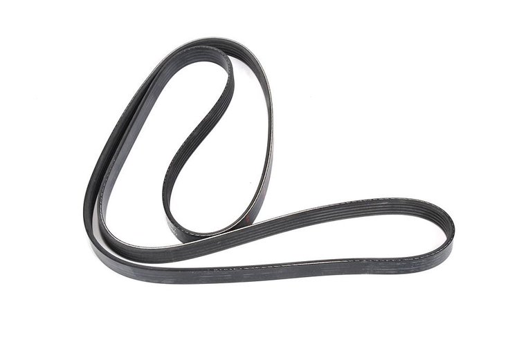 V-Ribbed Serpen (SLP-P1)